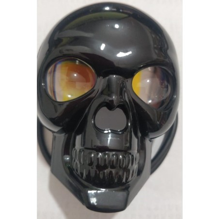 PROJECTEUR TETE DE MORTE 2L